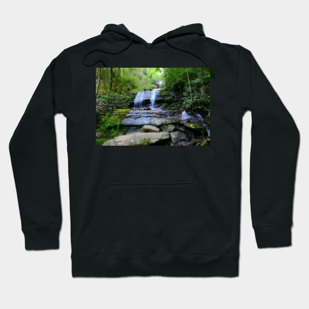 Desoto Falls (Lumpkin County Georgia) Hoodie by Ckauzmann